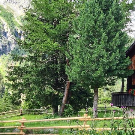 Chalet Wildgall Anterselva di Mezzo Exterior photo