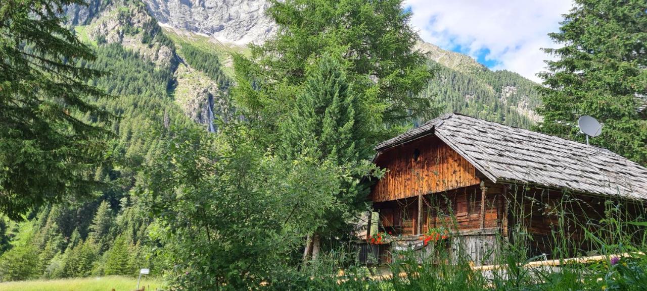 Chalet Wildgall Villa Anterselva di Mezzo Exterior photo